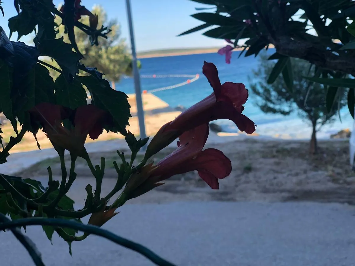 Croatia Mandre Apartman